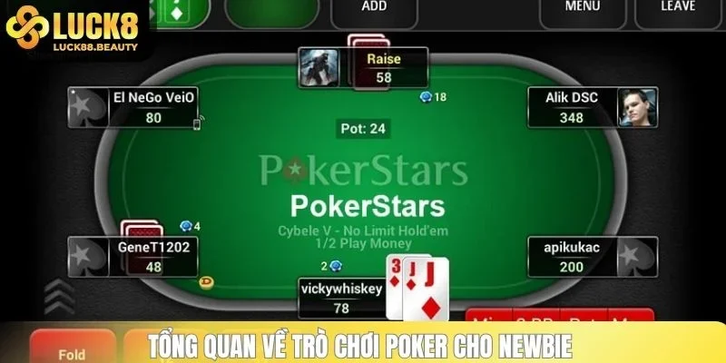 Tổng quan về trò chơi Poker cho newbie